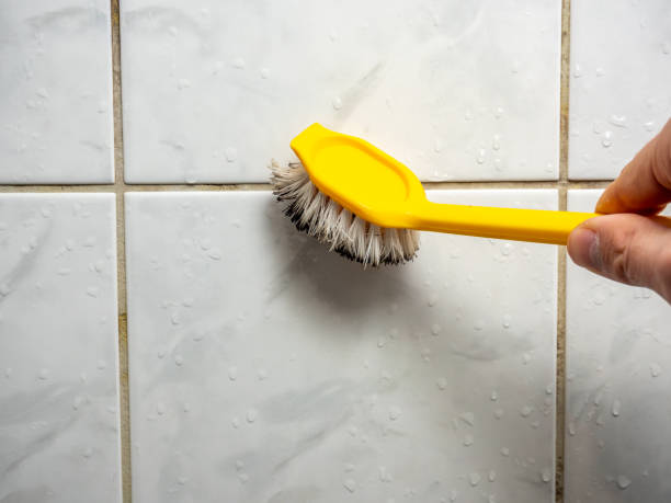 Office Mold Removal Services in Round Lake, IL
