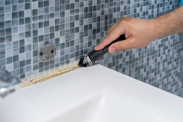 Best Attic Mold Removal  in Round Lake, IL