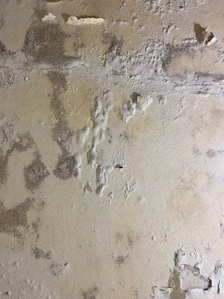 Water Damage Restoration in Round Lake, IL